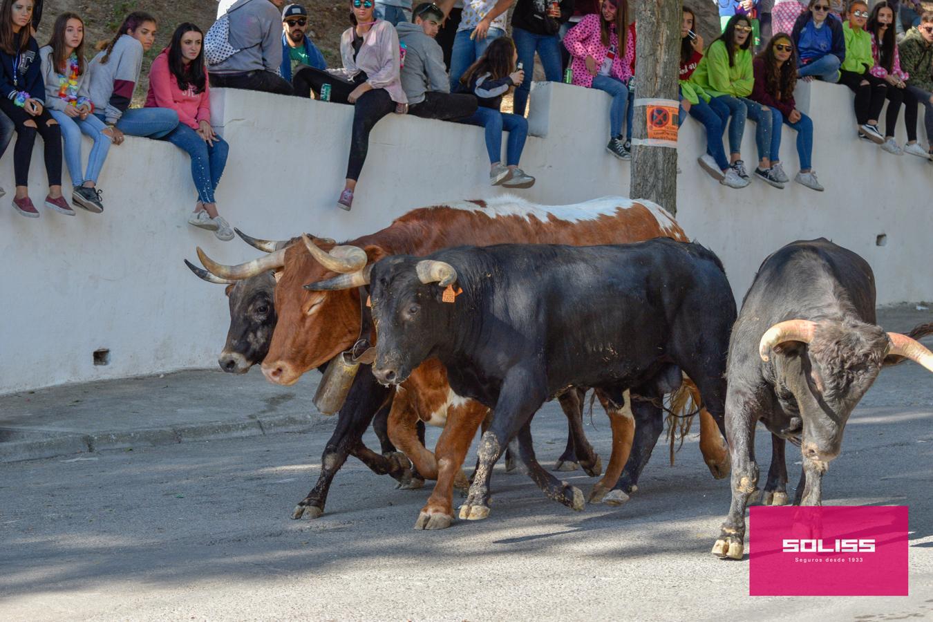 Los encierros marcan las fiestas de Yepes