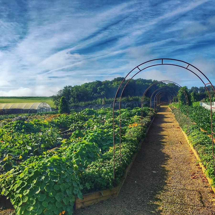 Su propio huerto. Dado que la gastronomía es uno de los pilares sobre los que se sustenta el estilo de vida en SohoFarmhouse, en sus instalaciones se cultivan durate todo el año los productos de temporada