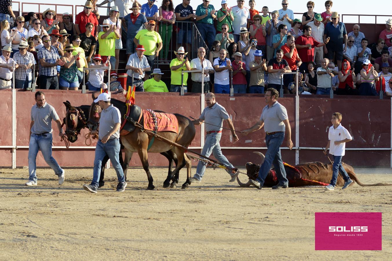 Comienzan los festejos taurinos en Portillo