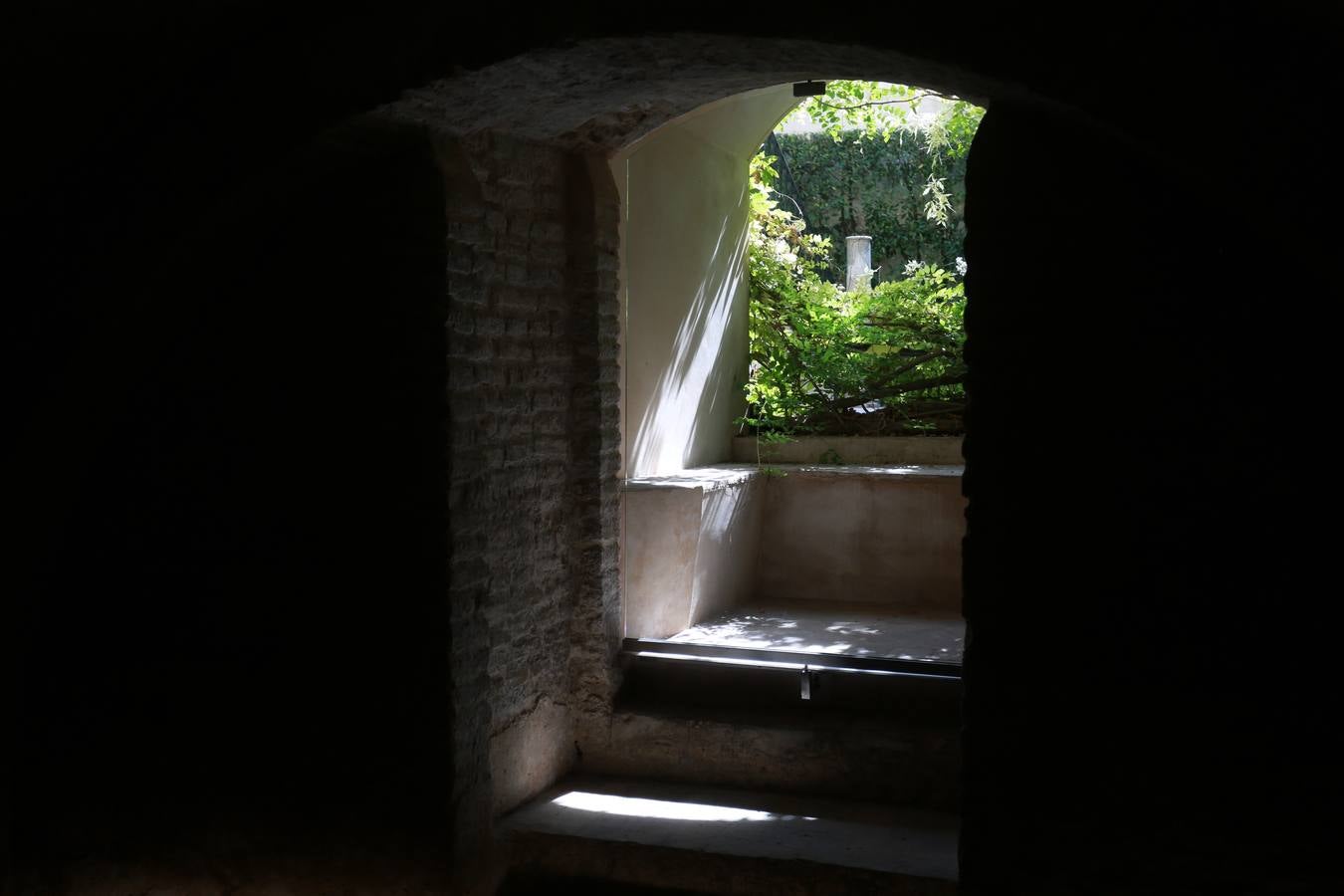 En imágenes, la nueva cara del semisótano del Palacio de Pedro I en el Alcázar de Sevilla