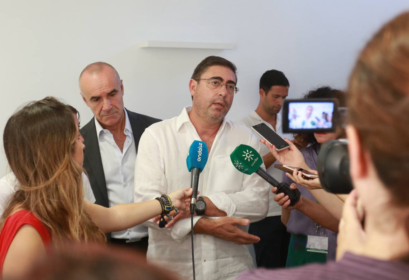 En imágenes, la nueva cara del semisótano del Palacio de Pedro I en el Alcázar de Sevilla