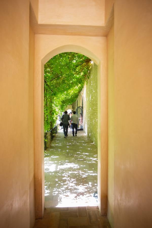 En imágenes, la nueva cara del semisótano del Palacio de Pedro I en el Alcázar de Sevilla