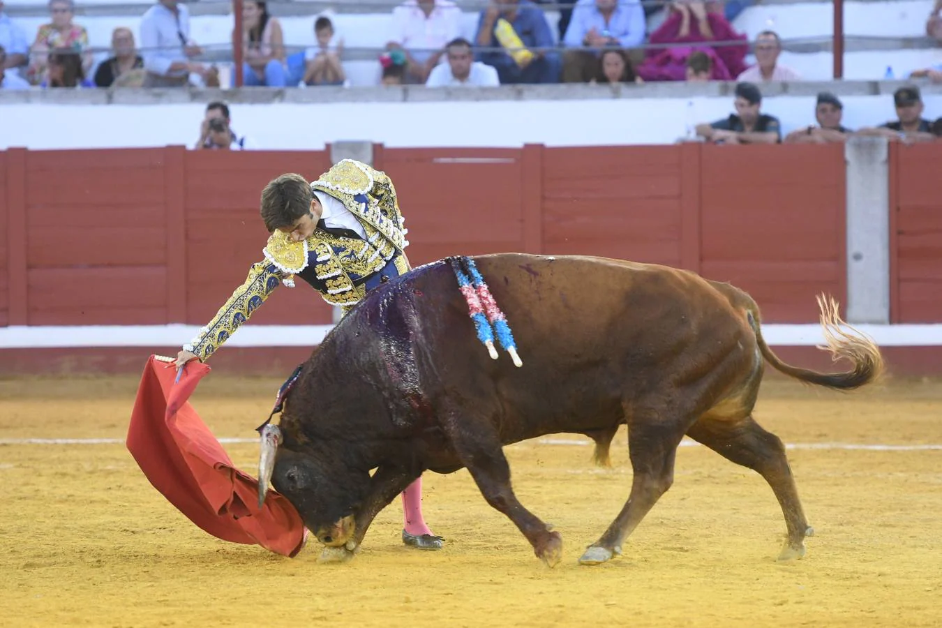 La corrida de toros de Pozoblanco, en imágenes
