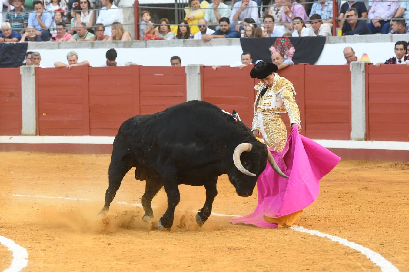 La corrida de toros de Pozoblanco, en imágenes