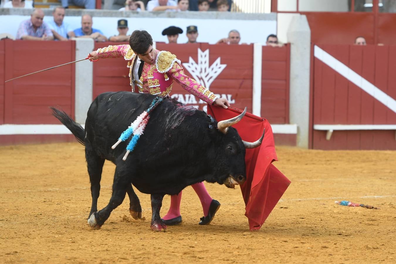 La corrida de toros de Pozoblanco, en imágenes