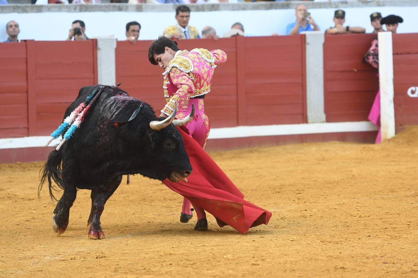 La corrida de toros de Pozoblanco, en imágenes