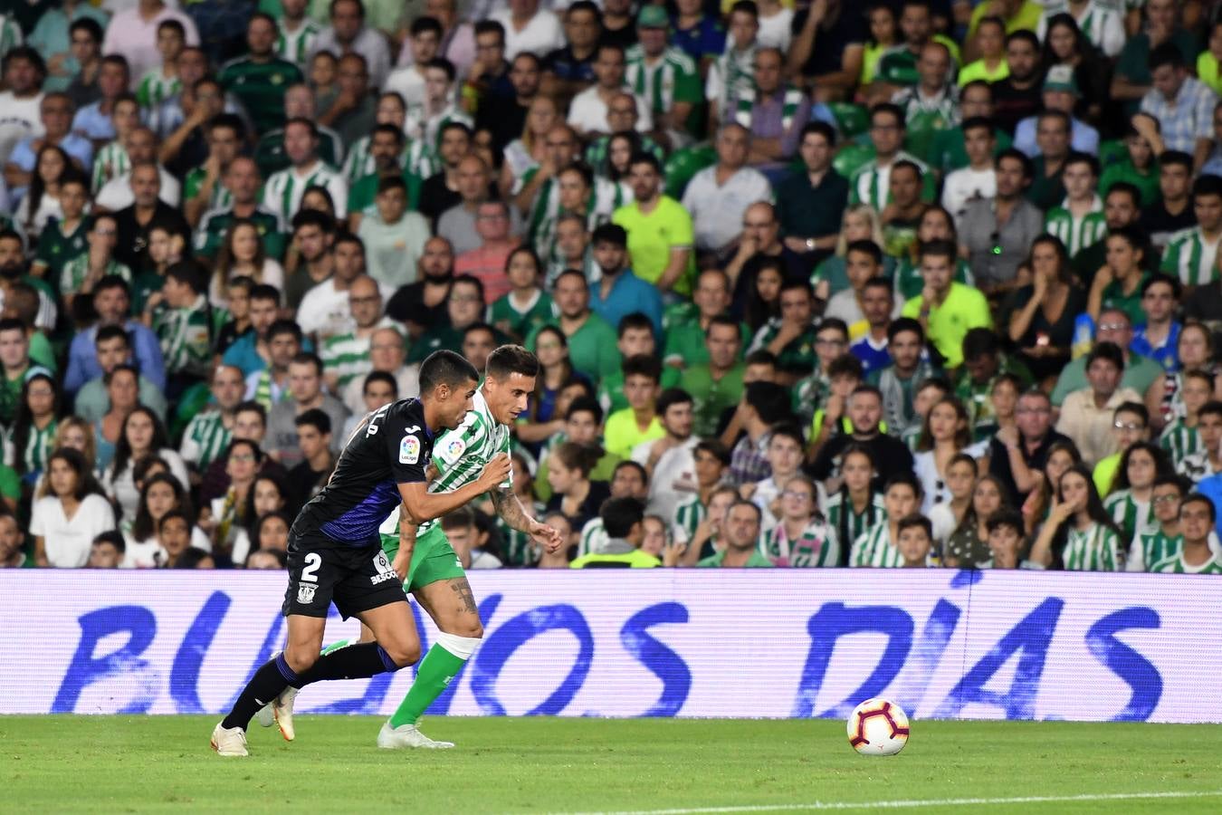 Todas las imágenes de la victoria del Betis