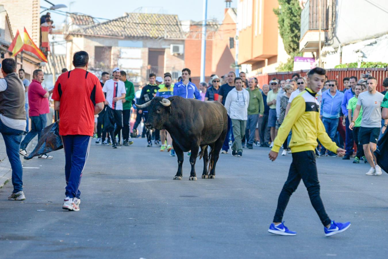 Los populares encierros de Olías del Rey, en imágenes