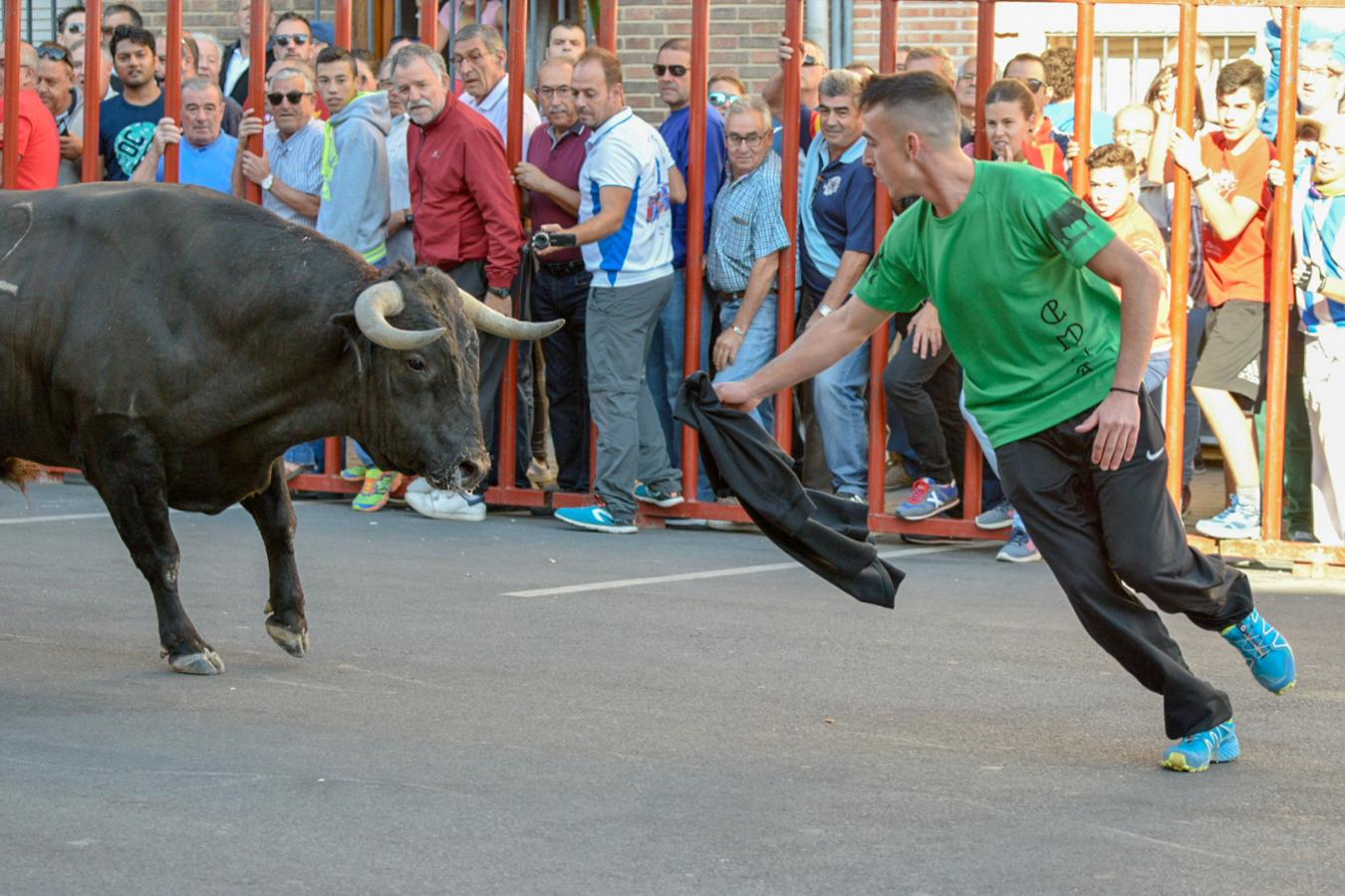 Los populares encierros de Olías del Rey, en imágenes