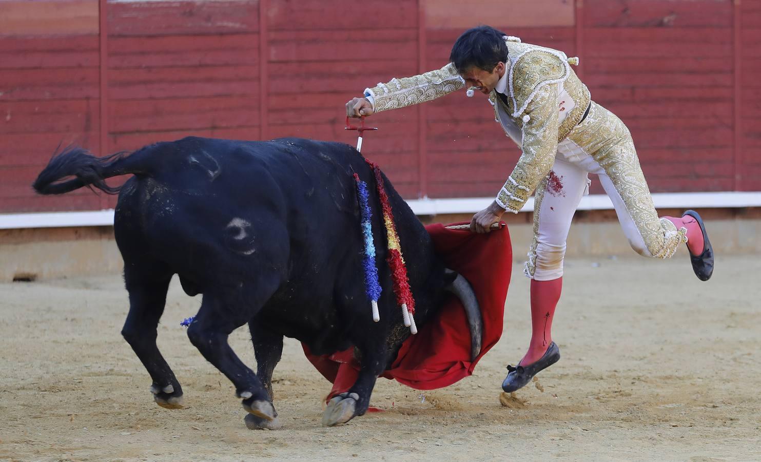 La corrida de Finito, Benítez y Filiberto Martínez en Montoro, en imágenes