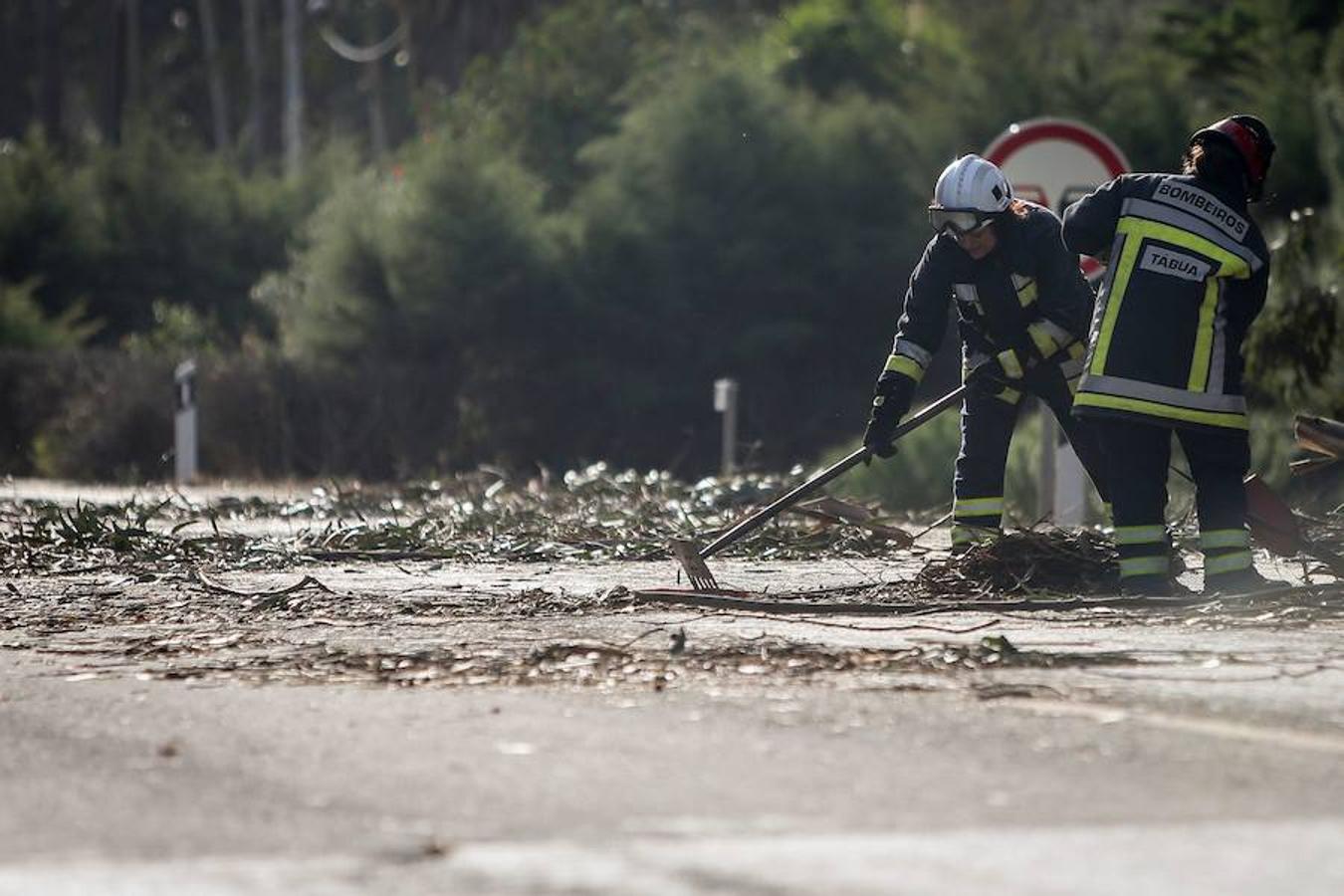 Bomberos retiran restos de ramas en Figueira da Foz, Portugal. 