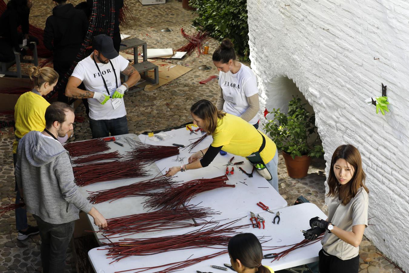 Los preparativos del Festival Flora de Córdoba, en imágenes