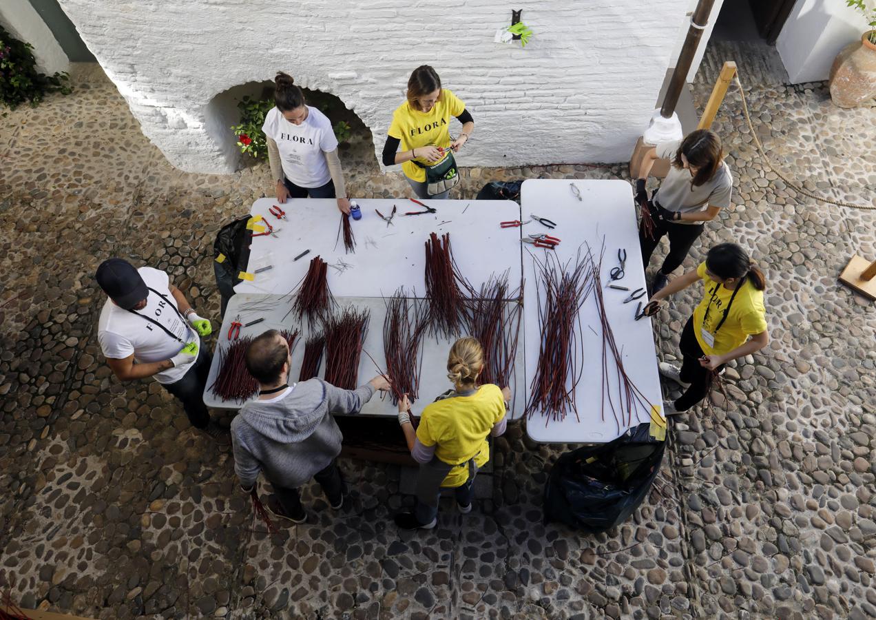 Los preparativos del Festival Flora de Córdoba, en imágenes