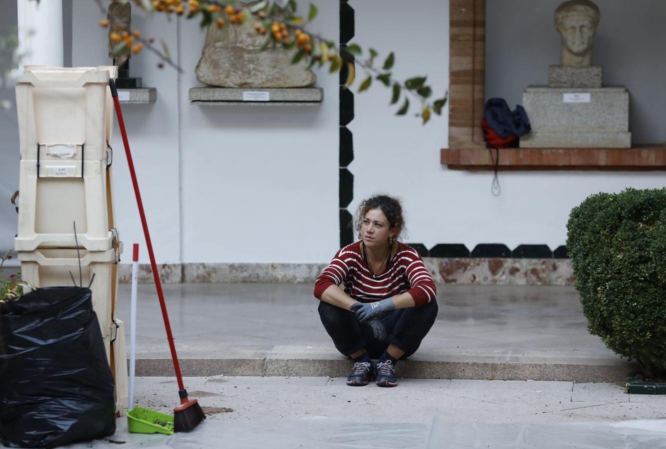 Los preparativos del Festival Flora de Córdoba, en imágenes