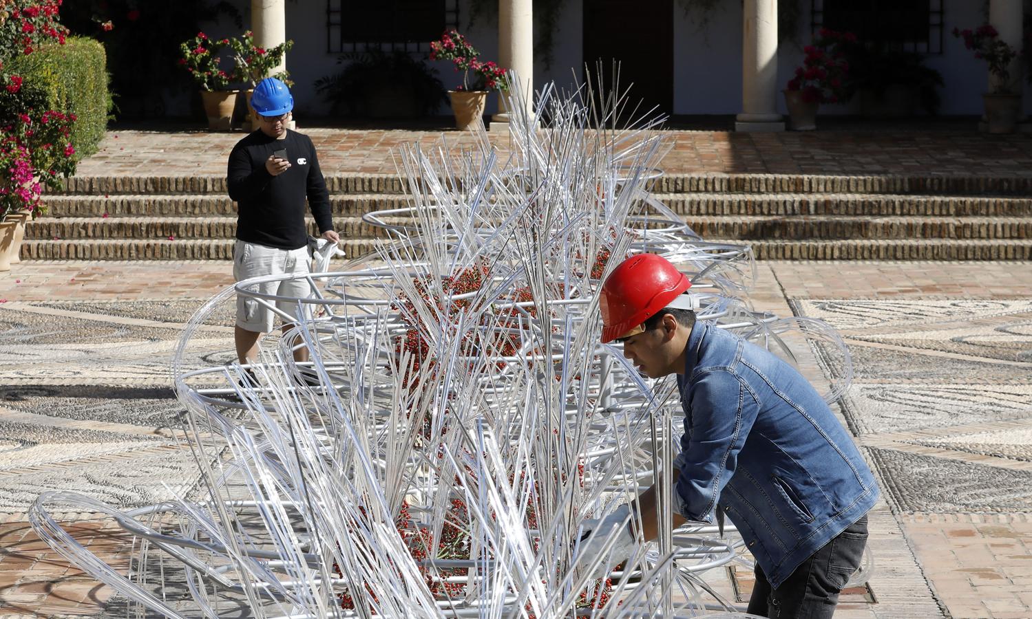 Los preparativos del Festival Flora de Córdoba, en imágenes