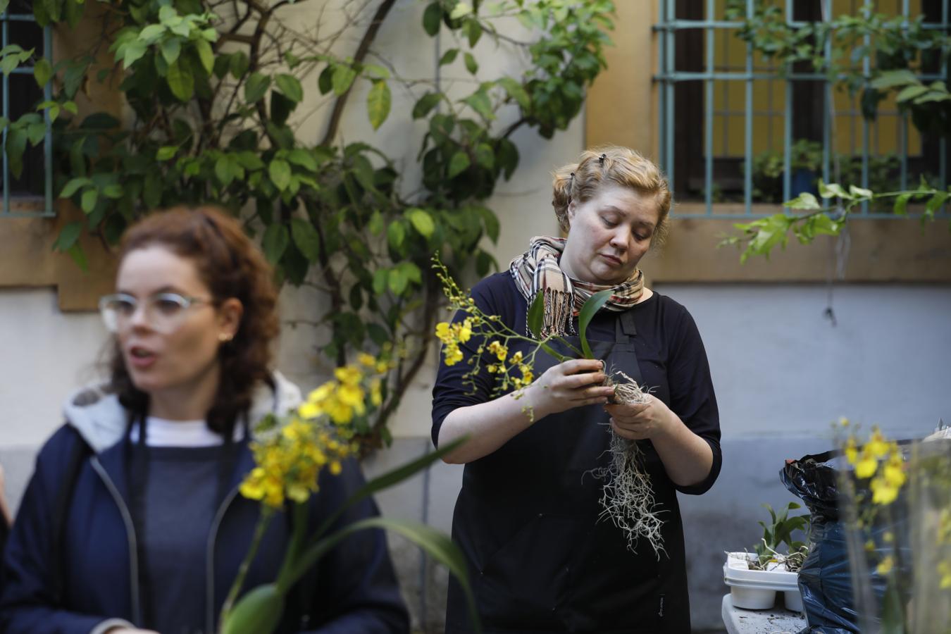 Los preparativos del Festival Flora de Córdoba, en imágenes