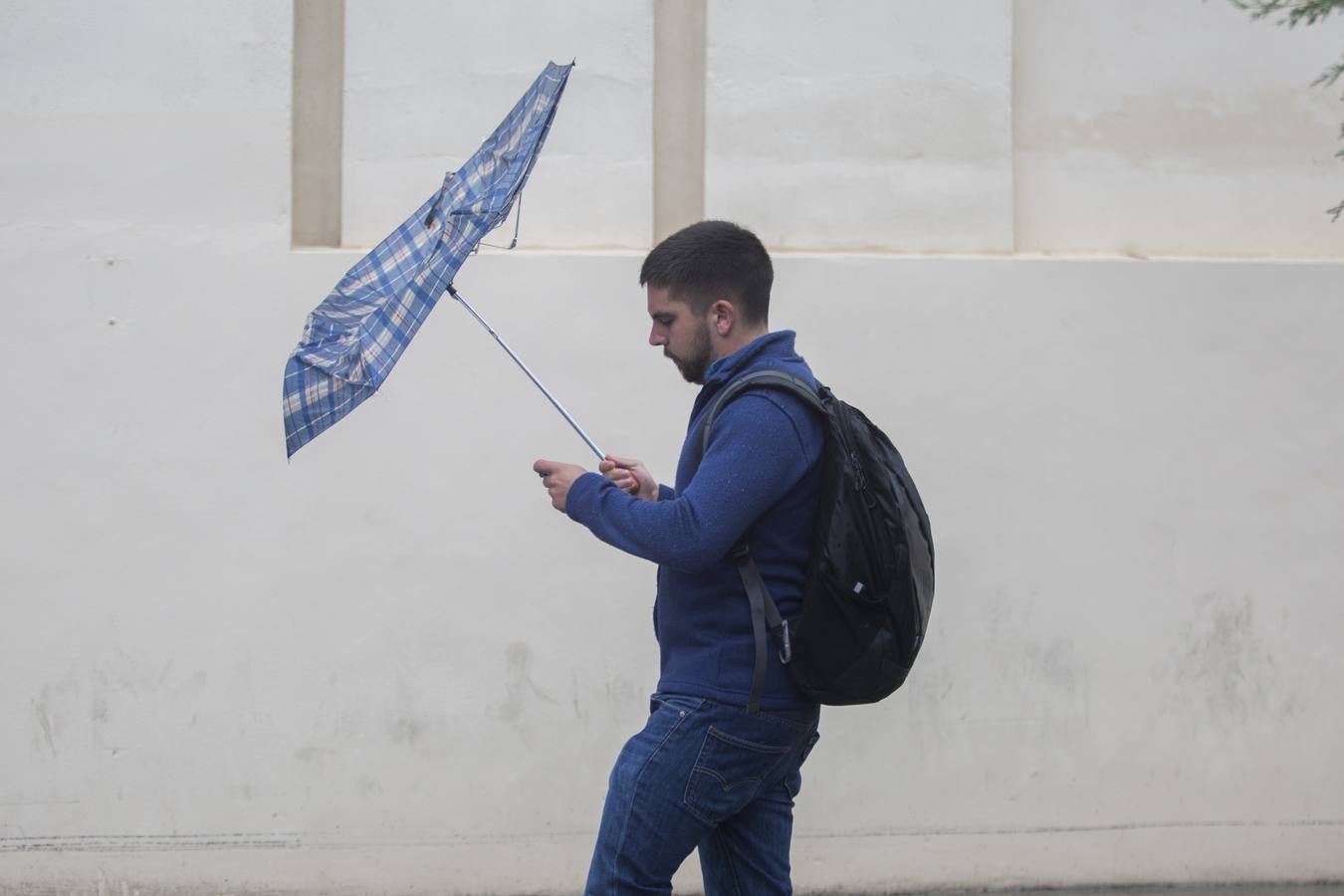 Primer temporal de lluvias en otoño en Sevilla