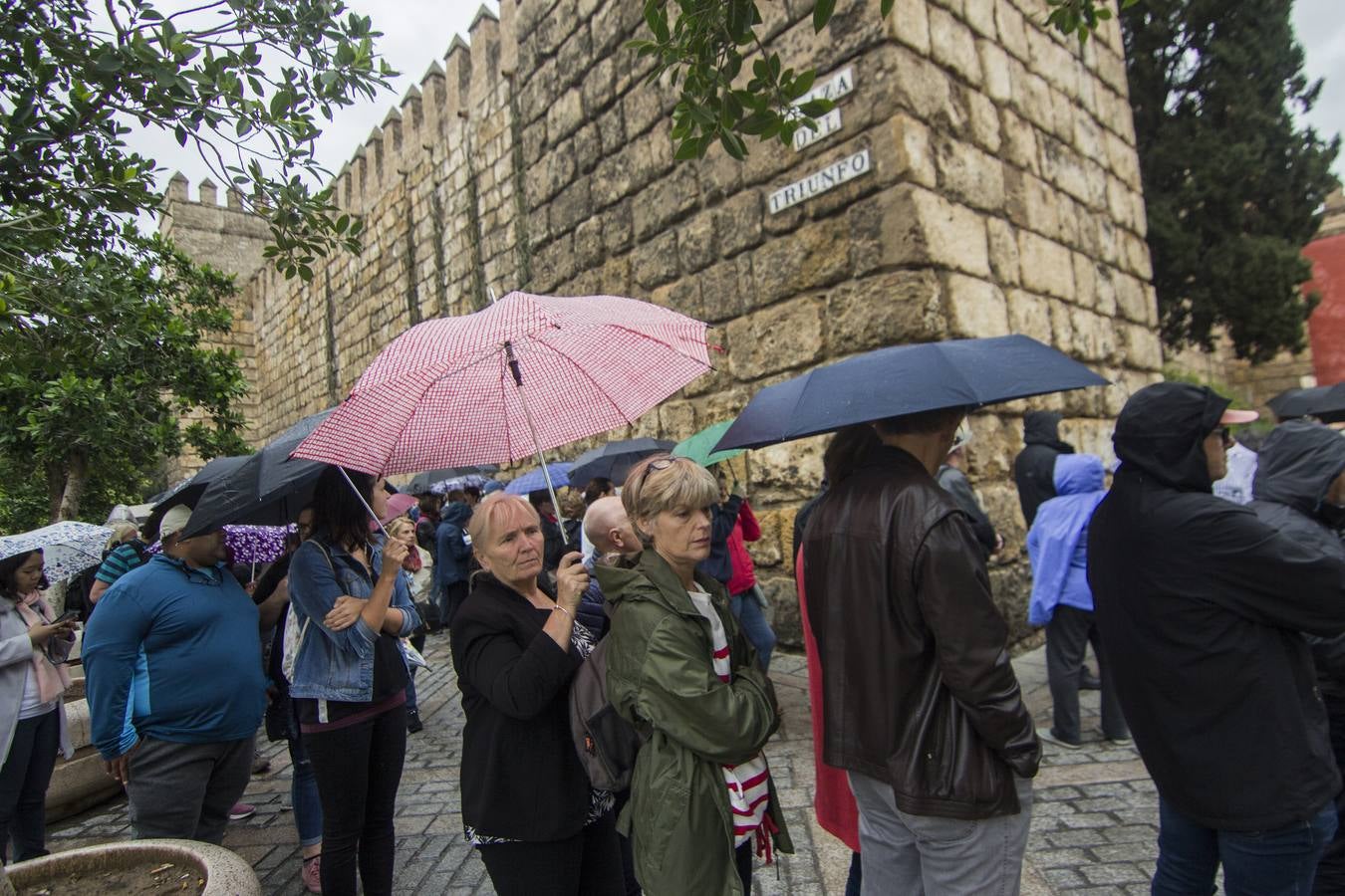 Primer temporal de lluvias en otoño en Sevilla