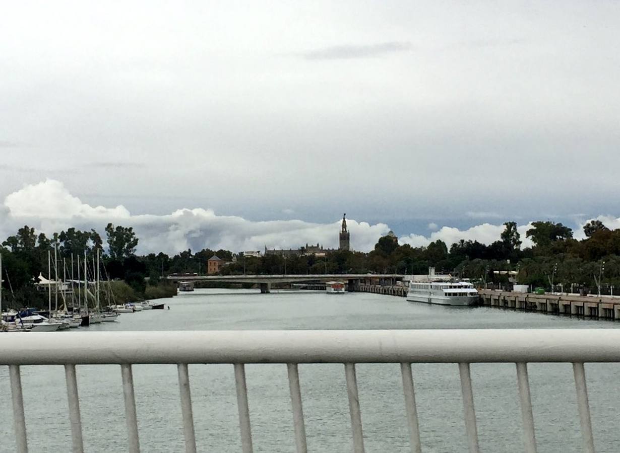 El otoño en Sevilla, visto por los lectores de ABC