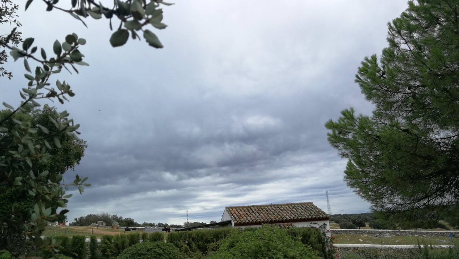 El otoño en Sevilla, visto por los lectores de ABC