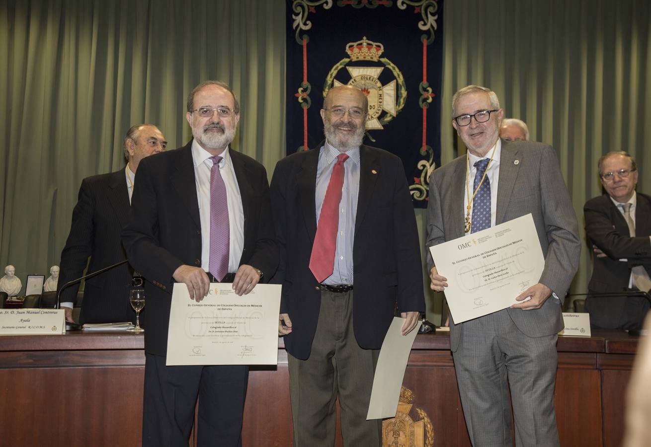 En imágenes, la conmemoración de San Lucas en el Colegio de Médicos de Sevilla