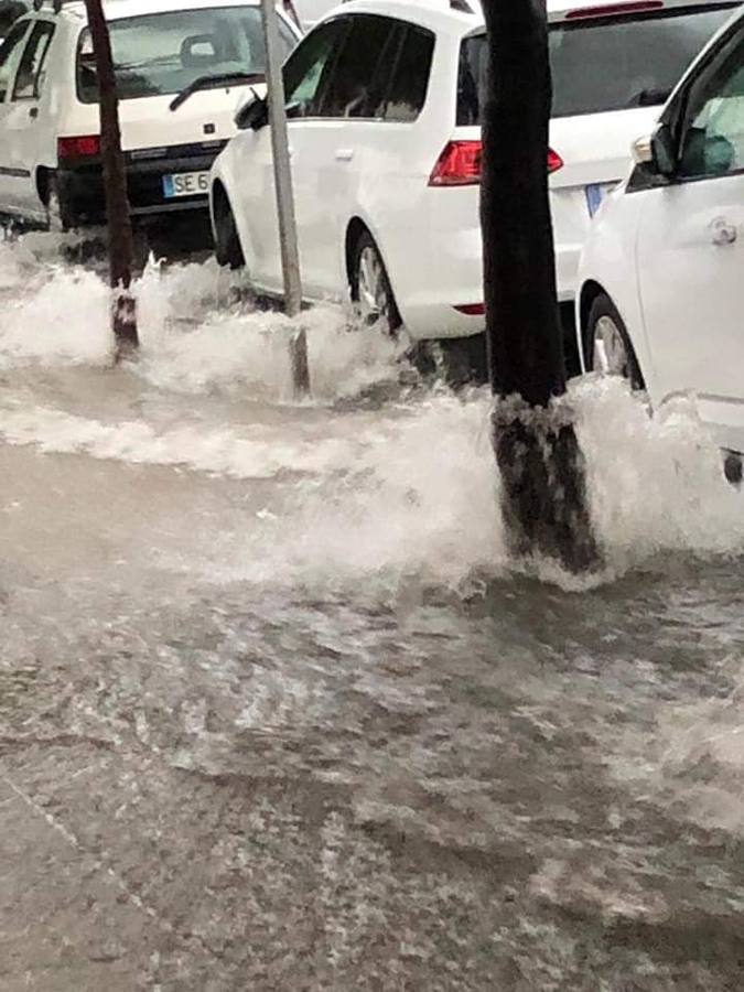 Una fuerte tromba de agua ha dejado unos 30 litros por metro cuadrado en Morón de la Frontera
