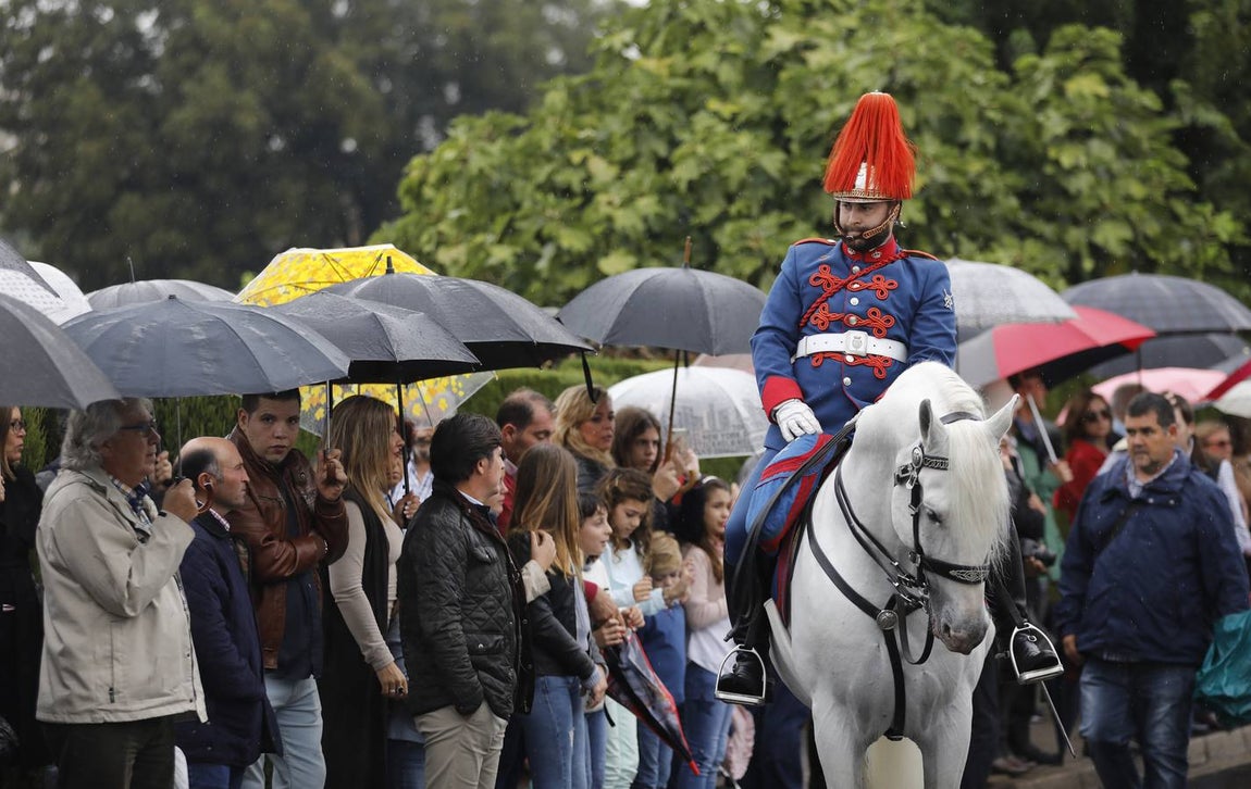 El desfile en honor a Diego López de Haro y las Caballerizas Reales de Córdoba, en imágenes