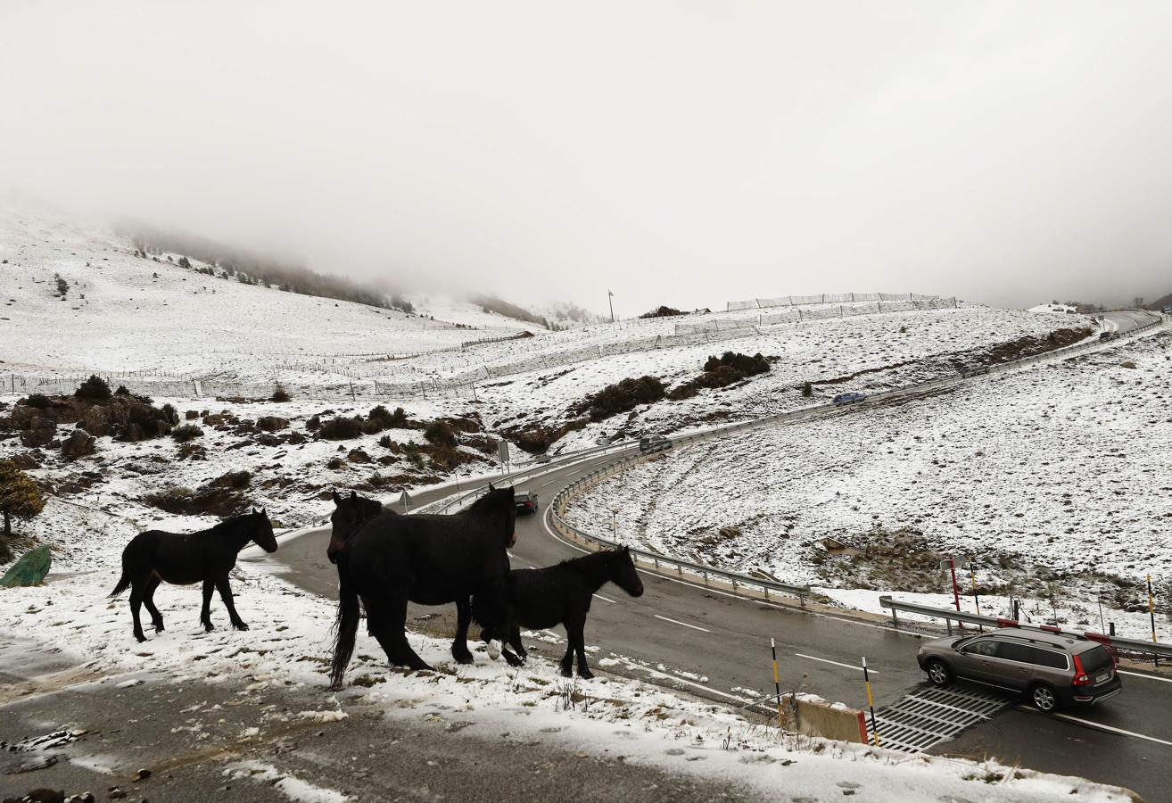 Varios coches circulan por la NA-137 desde el valle de Belagoa donde la nieve caída esta madrugada permanece en las cotas mas altas del pirineo navarro.. 