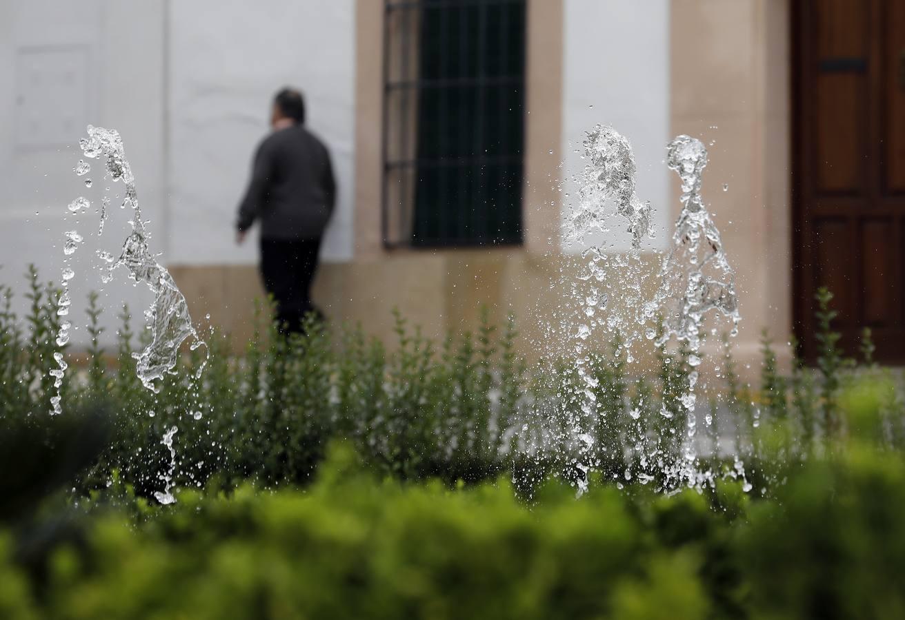 La belleza de Bujalance, en imágenes