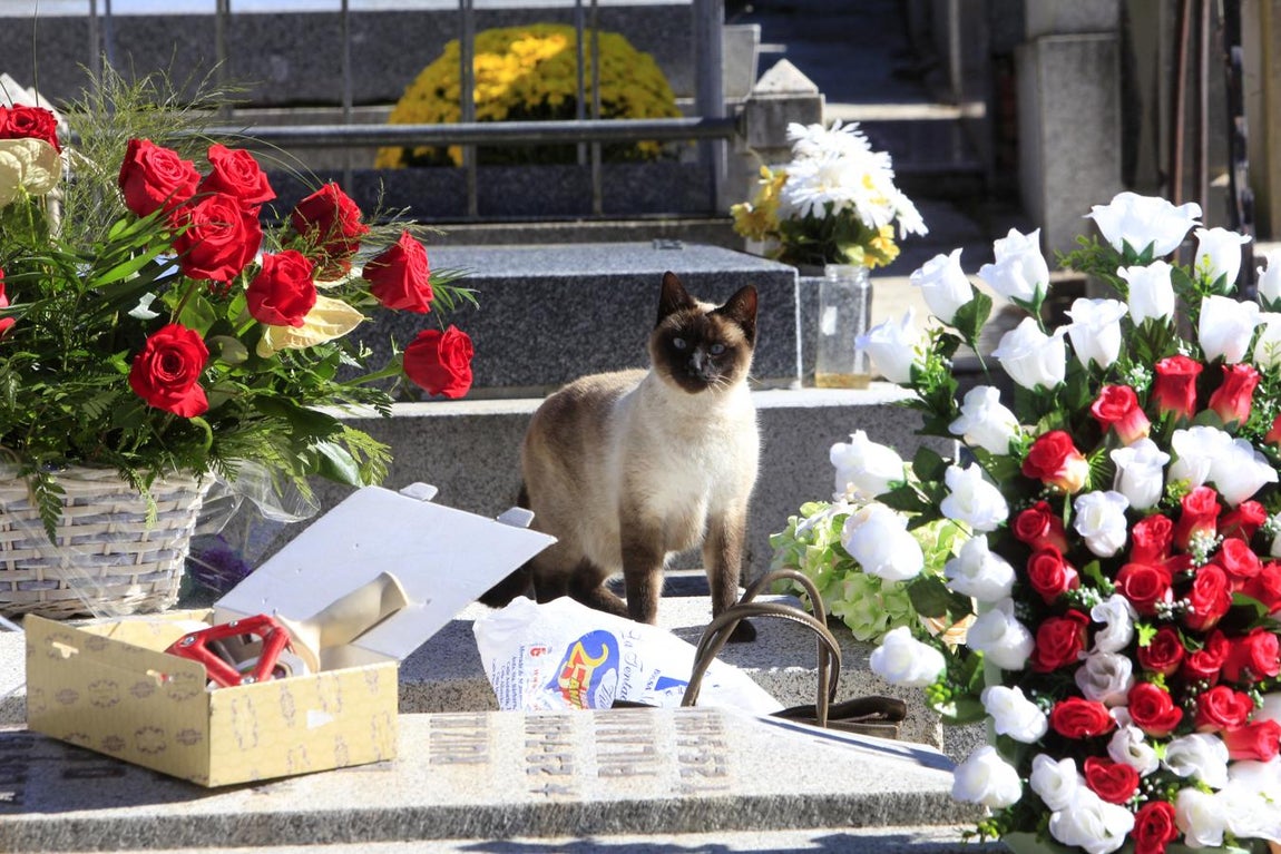 Miles de toledanos visitan el cementerio el Día de todos los Santos