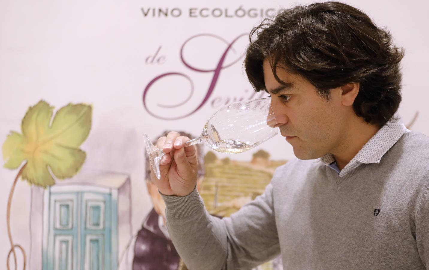 El Salón del Vino y la Gastronomía Narbona Solís de Córdoba, en imágenes