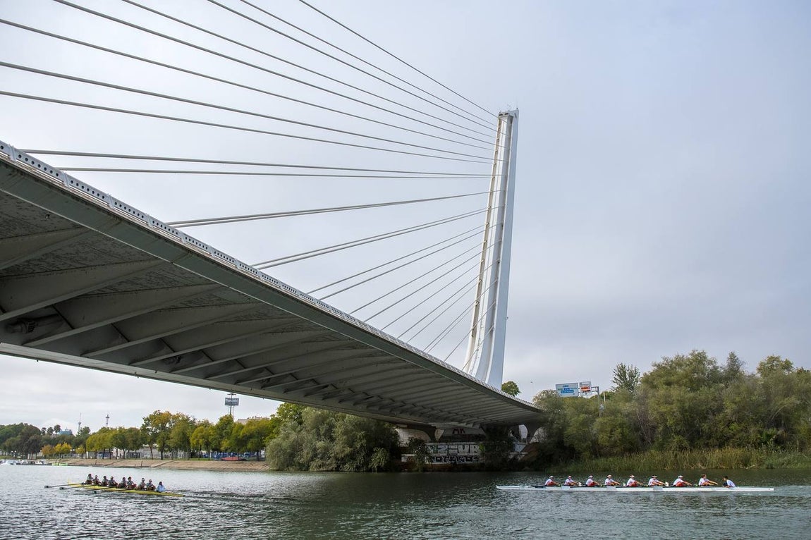 En poco más de 18 minutos, el bote del Betis completó los más de seis kiómetros que separan el Puente del Alamillo hasta el Acuario de Sevilla, con lo que recorta (30-22) la ventaja que aún mantienen los sevillistas en el palmarés histórico