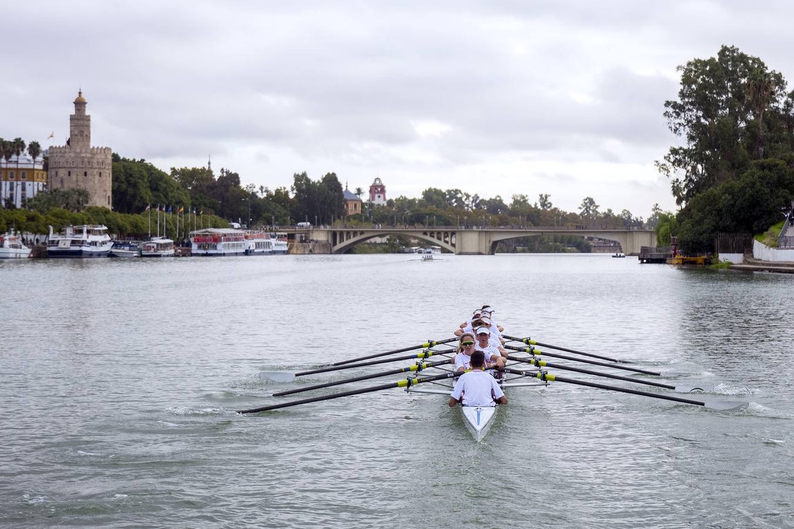 En poco más de 18 minutos, el bote del Betis completó los más de seis kiómetros que separan el Puente del Alamillo hasta el Acuario de Sevilla, con lo que recorta (30-22) la ventaja que aún mantienen los sevillistas en el palmarés histórico