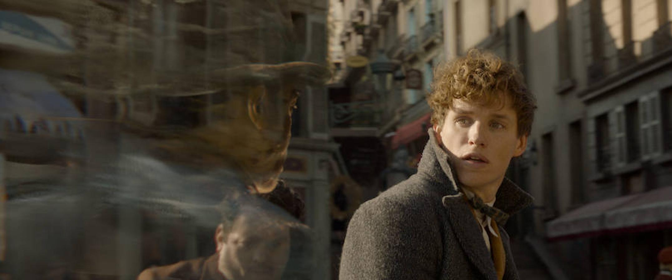 Galería: Las imágenes de la nueva película del universo Harry Potter