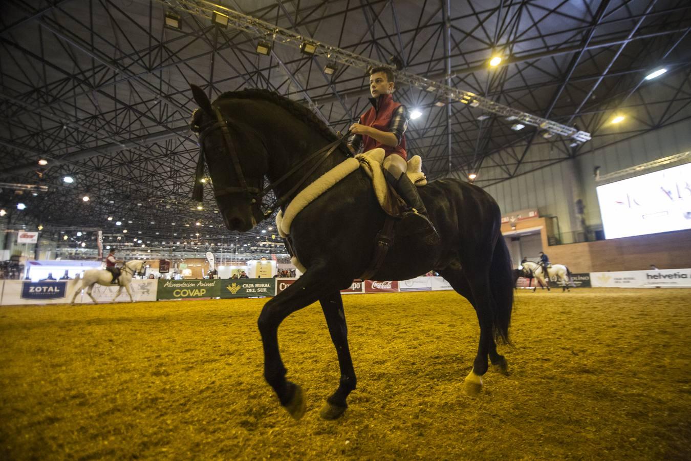 Arranca el Salón Internacional del Caballo