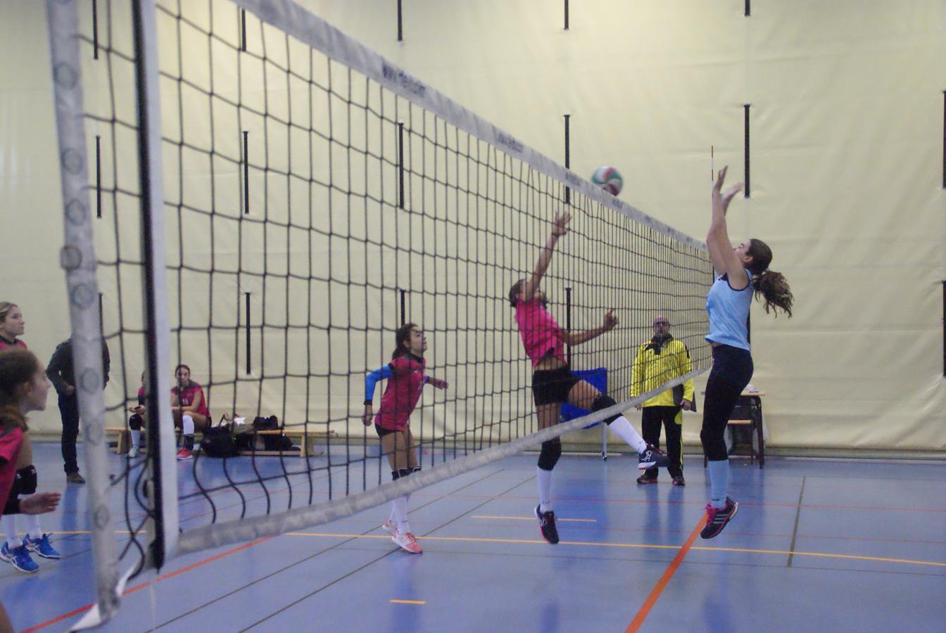 Las mejores imágenes del partido de voleibol entre Saint Louis des Français “A” y Santo Domingo Savio