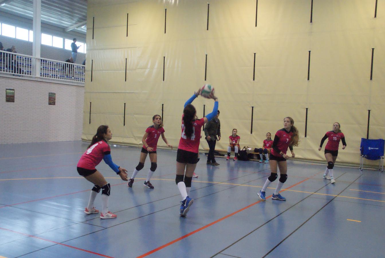 Las mejores imágenes del partido de voleibol entre Saint Louis des Français “A” y Santo Domingo Savio