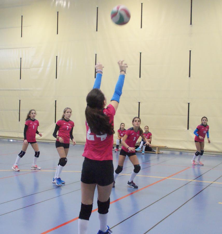 Las mejores imágenes del partido de voleibol entre Saint Louis des Français “A” y Santo Domingo Savio