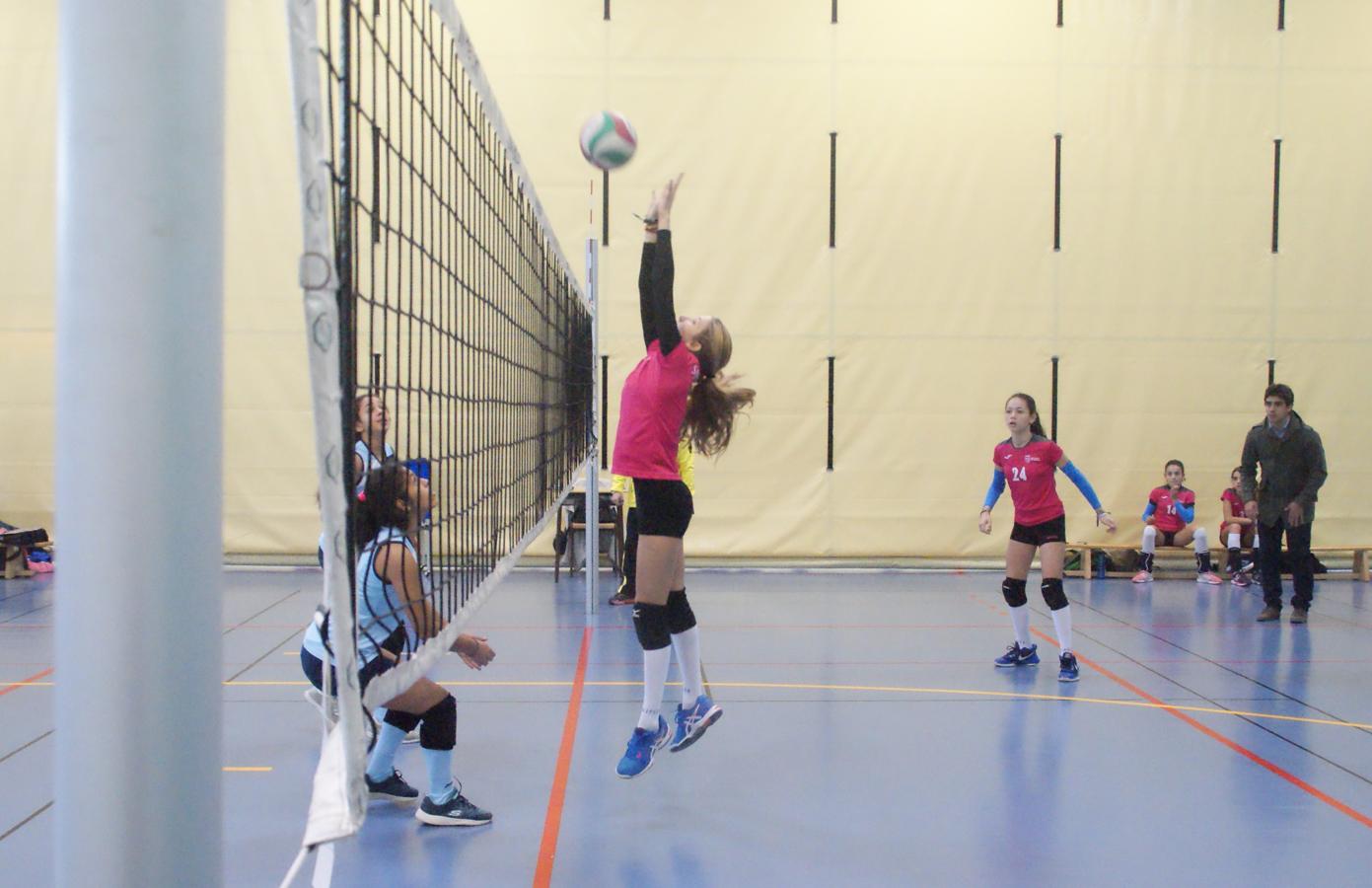 Las mejores imágenes del partido de voleibol entre Saint Louis des Français “A” y Santo Domingo Savio