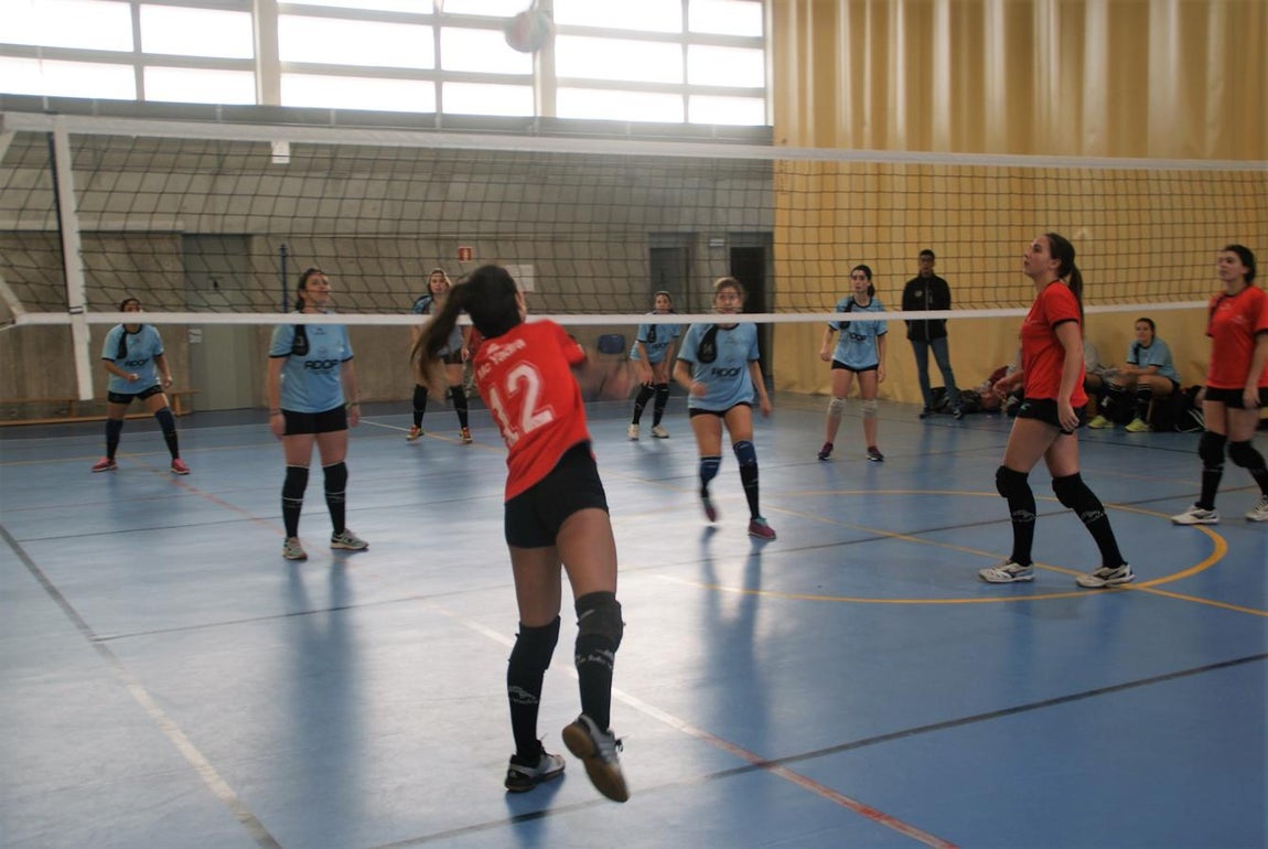 Las mejores imágenes del partido entre Obispo Perelló y Spínola Chamartín