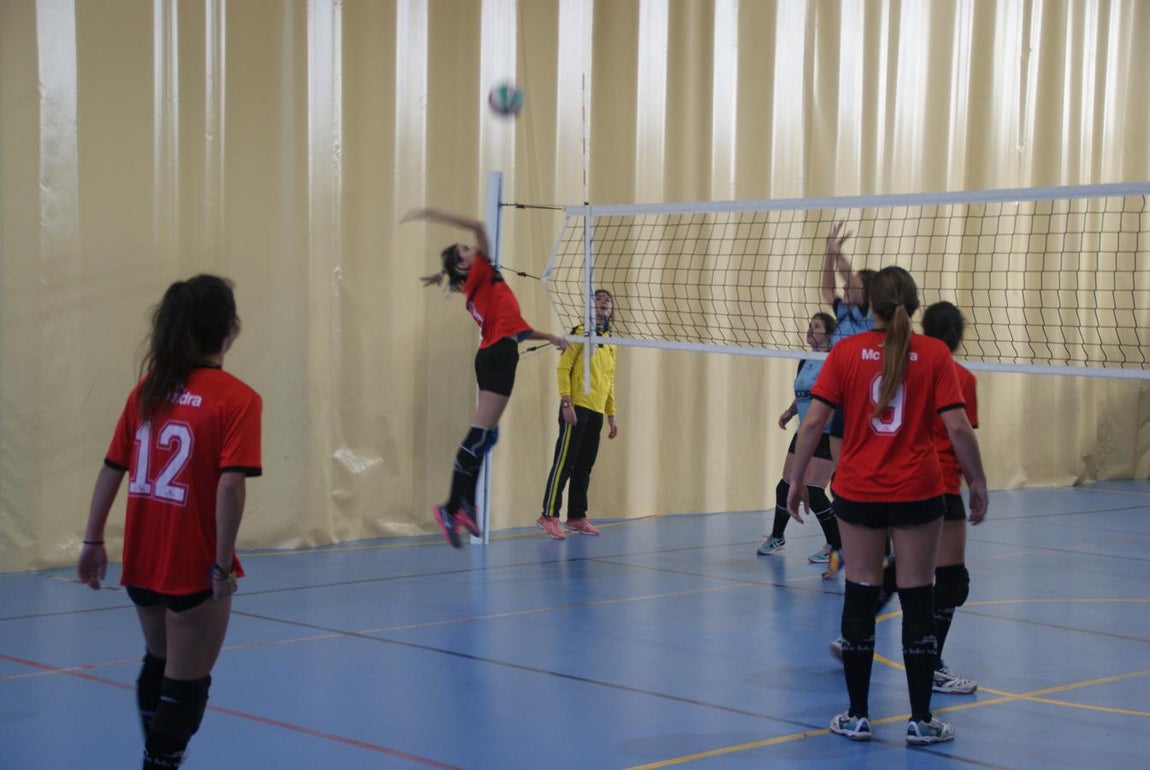 Las mejores imágenes del partido entre Obispo Perelló y Spínola Chamartín