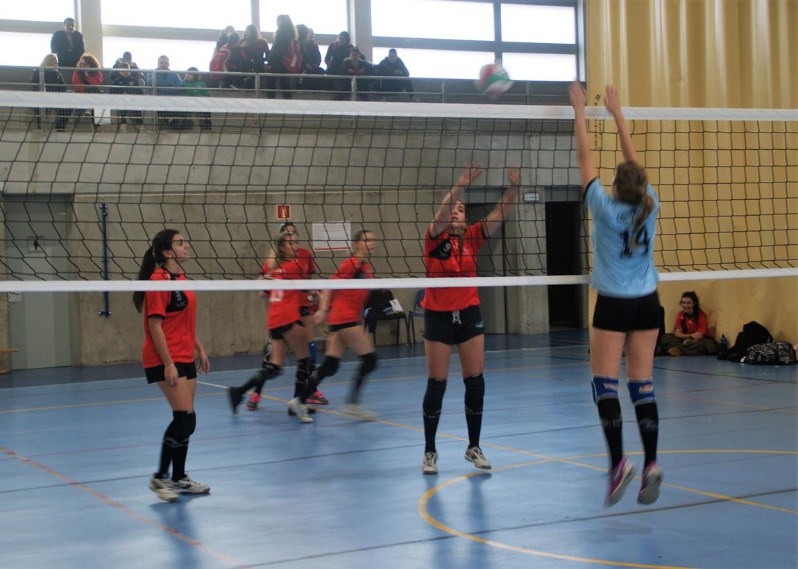 Las mejores imágenes del partido entre Obispo Perelló y Spínola Chamartín