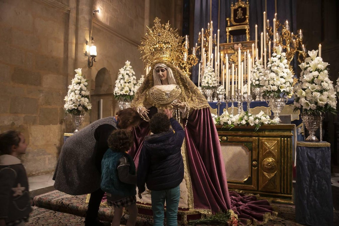 La celebración de la Inmaculada Concepción en Córdoba, en imágenes