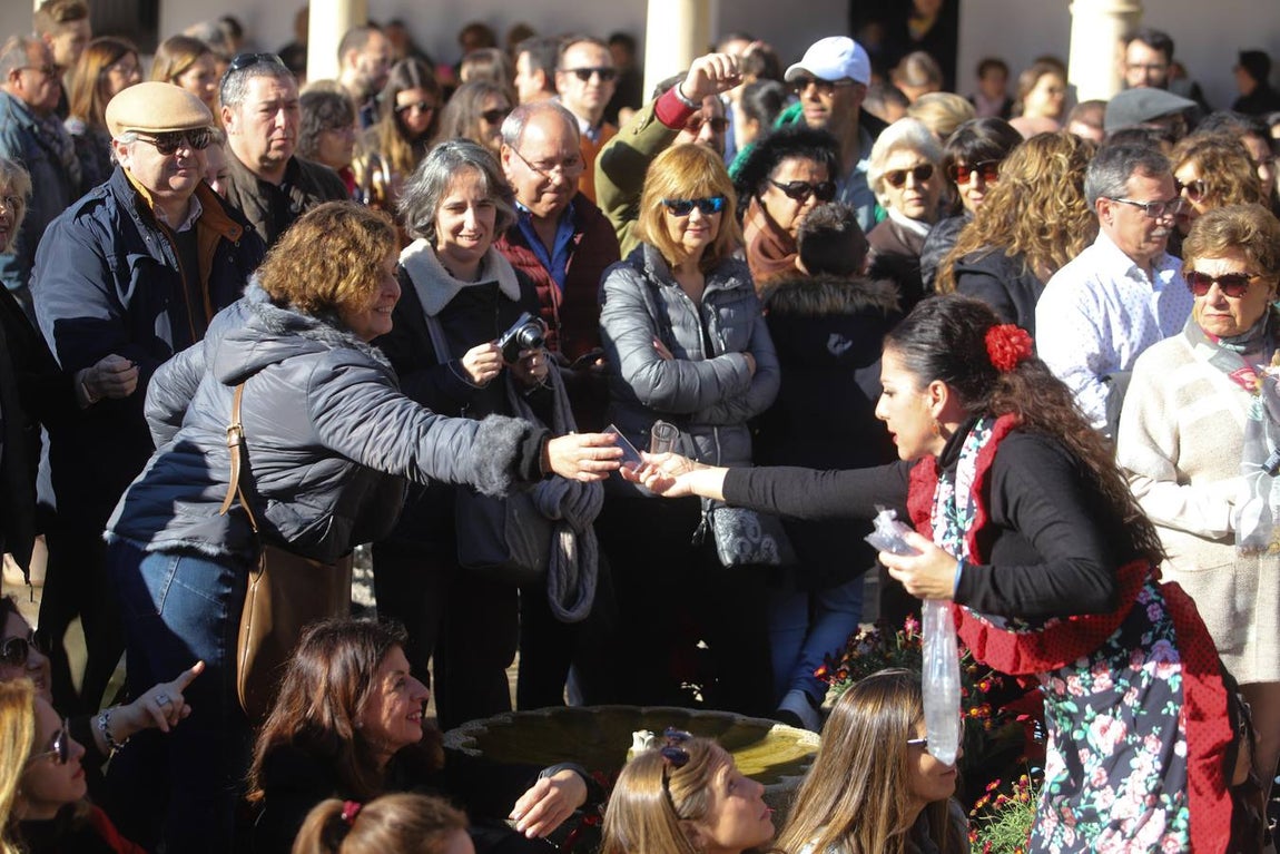 La zambomba flamenca empieza a sonar en Córdoba, en imágenes