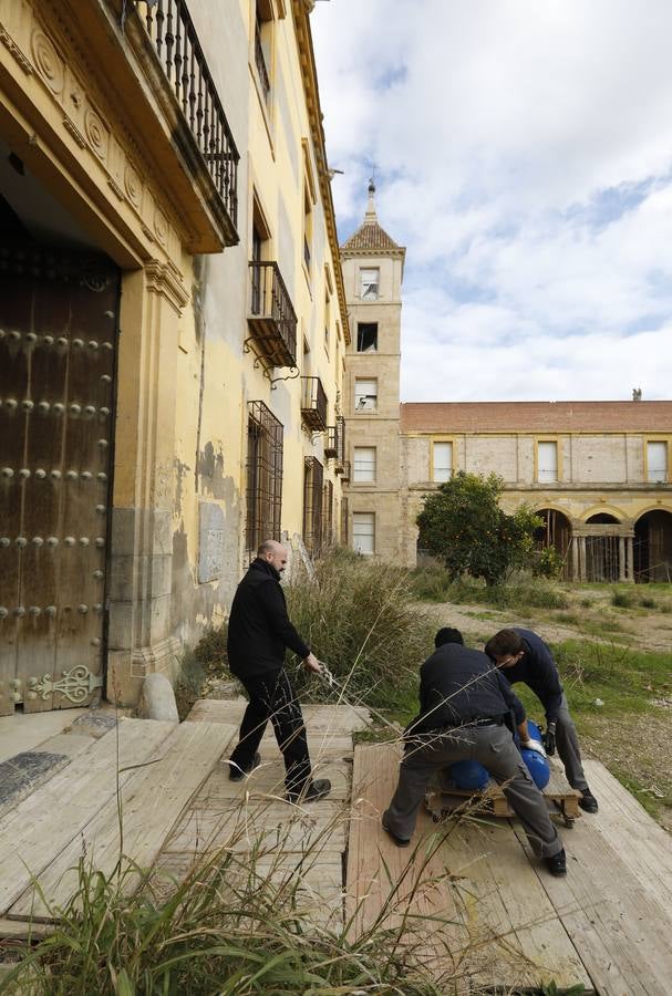 Los primeros preparativos para la reforma del Palacio Episcopal de Córdoba, en imágenes