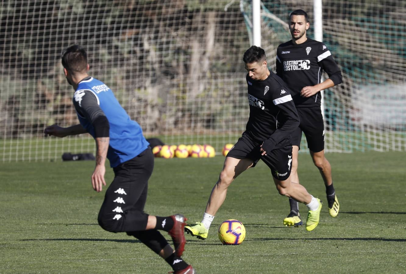 La vuelta al trabajo del Córdoba CF, en imágenes