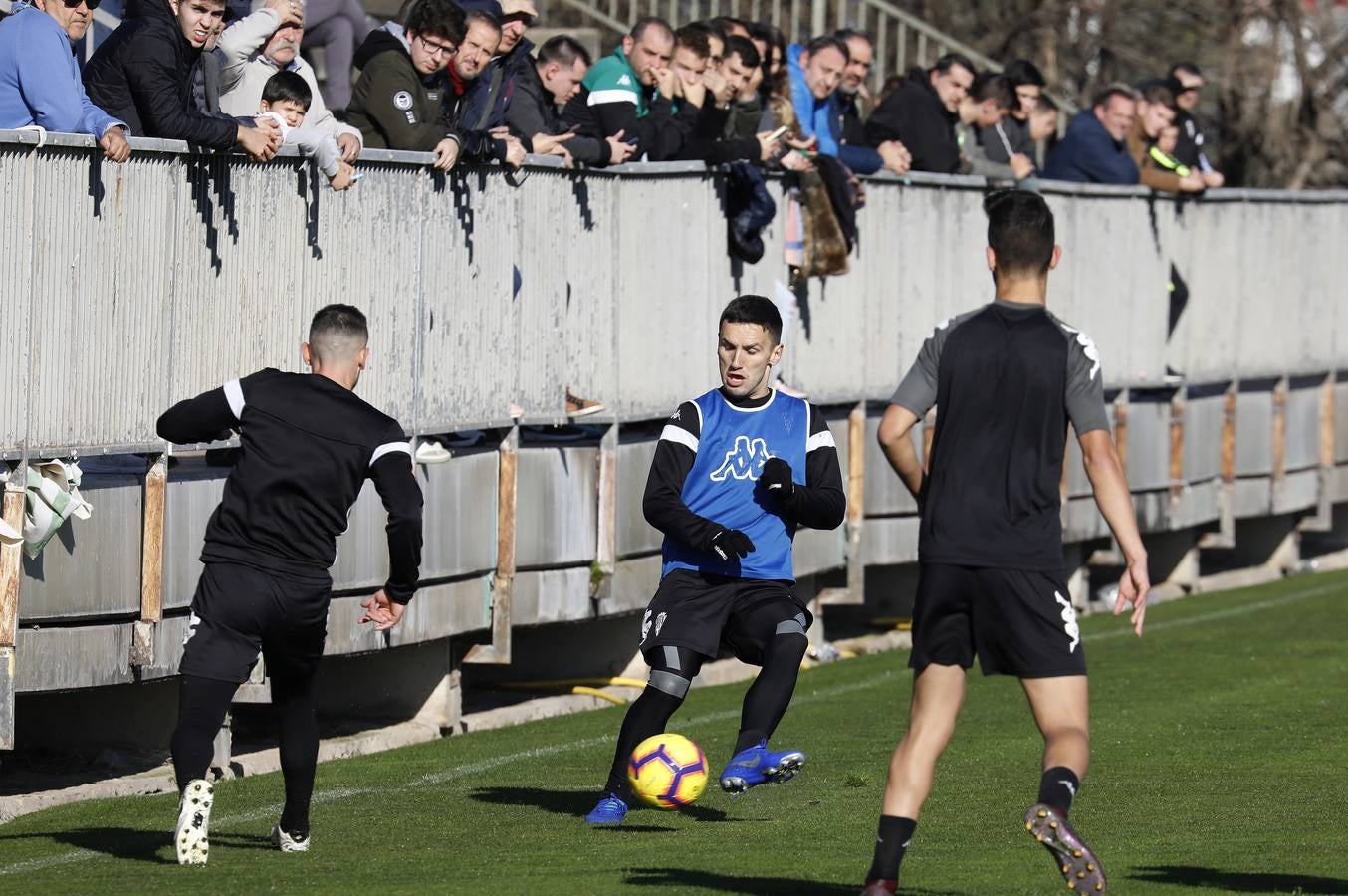 La vuelta al trabajo del Córdoba CF, en imágenes