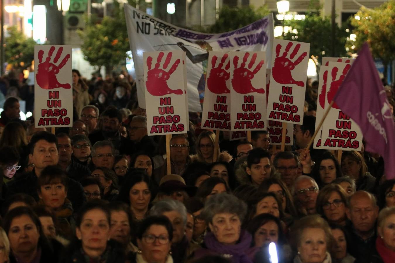 La protesta feminista en Córdoba, en imágenes