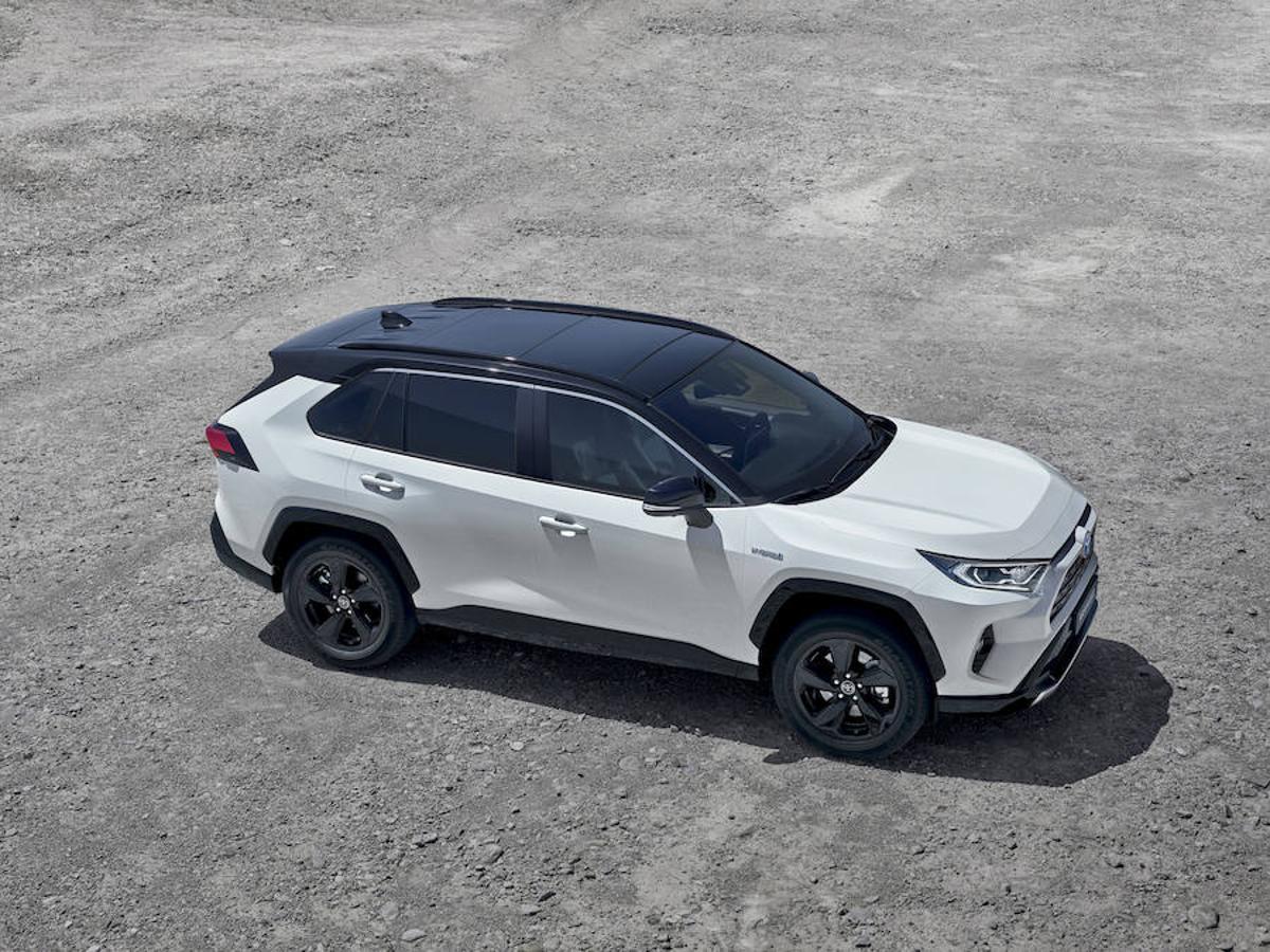 Fotogalería: Toyota RAV4 2019