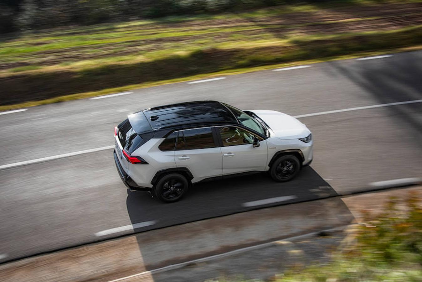 Fotogalería: Toyota RAV4 2019